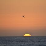 CambriaCN_176 (October 25, 2014)